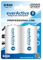 Аккумулятор D/R20 everActive 2xEVHRL20-10000, 10000mAh, LSD Ni-MH, блистер 2шт, цена за уп.