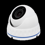 Камера видеонаблюдения антивандальная гибридная GV-083-GHD-H-DOS20-20 1080Р